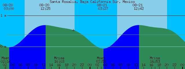 Baja Tide Chart