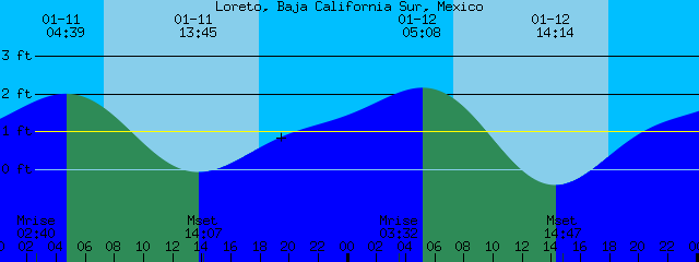 Baja Tide Chart